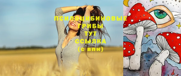 ПСИЛОЦИБИНОВЫЕ ГРИБЫ Снежинск